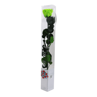 Arrosa betikoa Lime Green pistazioa, 55 cm luzeko lore kontserbatua