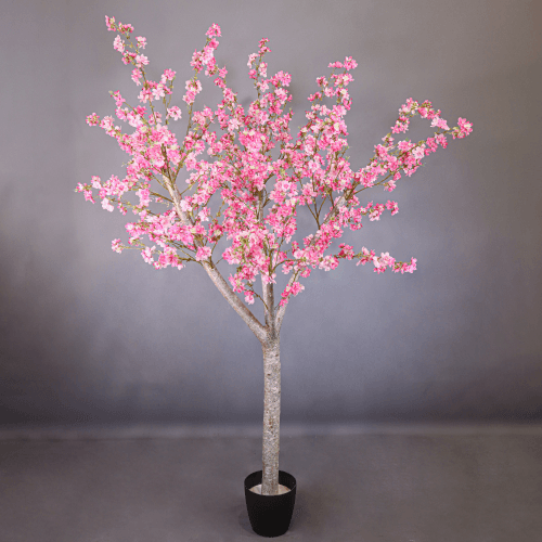 Y Almendro Verdnatura x 35 Premium, Rosa