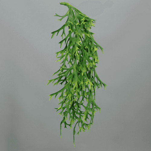 Pack de 3 falgueres Platycerium (banya de cérvol) artificials 55 cm