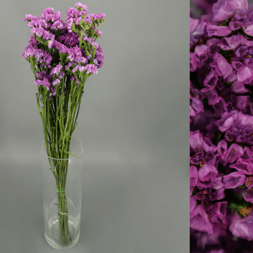 Statice preservado violeta, Flor preservada de 75 cm de comprimento