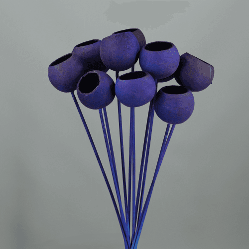 Bell Cup Azul (60 cm) - Flores Secas, Flor seca de 60 cm de largo, lote de 10 tallos
