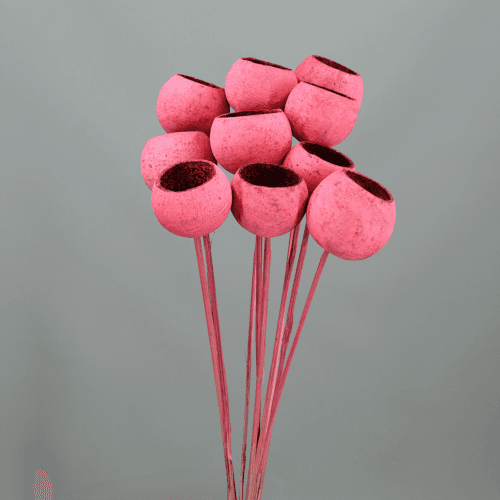 Bell Cup Rosa (60 cm) - Flores Secas, Flor seca de 60 cm de largo, lote de 10 tallos