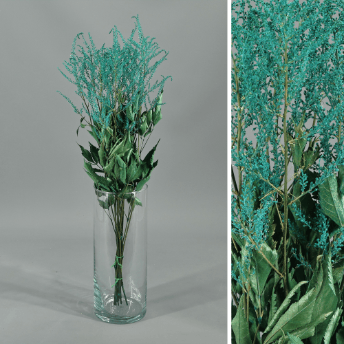 Astilbe preservada turquesa