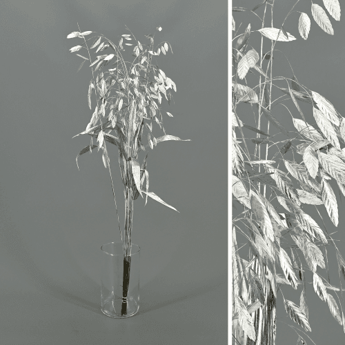 Chasmanthium latifolium preservado prateado 80 cm, Flor preservada de 80 cm de comprimento