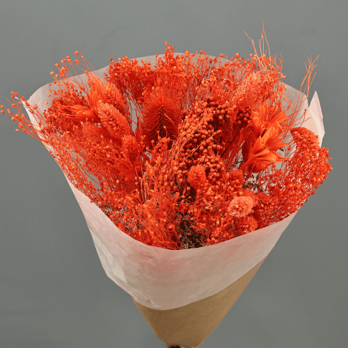 Ramo de Flores Secas Harmonia Laranja, Flor seca de 30 cm de comprimento La Sempreviva
