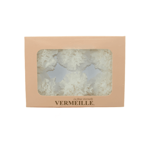 Clavell Preservat Blanc (6 Unitats, Flor de 4,5-5 cm)