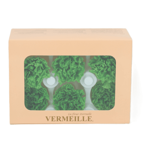 Clavel preservado Verde Pistacho