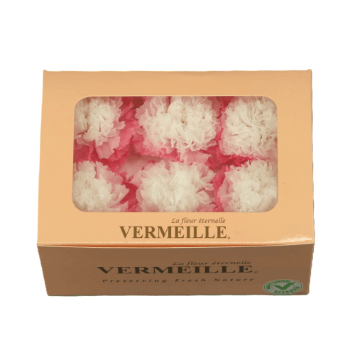 Clavell preservat Blanc i Rosa