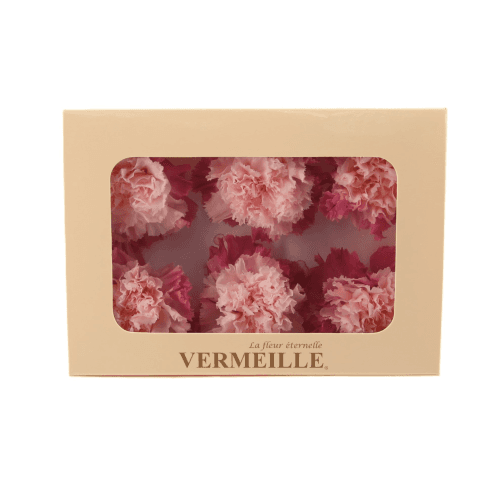 Clavel preservado Fucsia