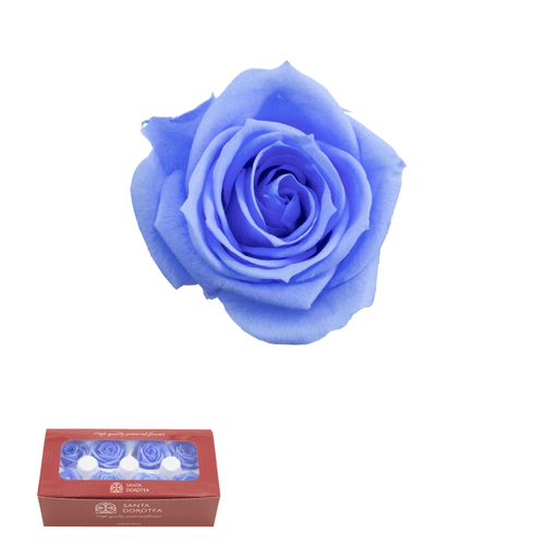 Rosa eterna Azul Marino