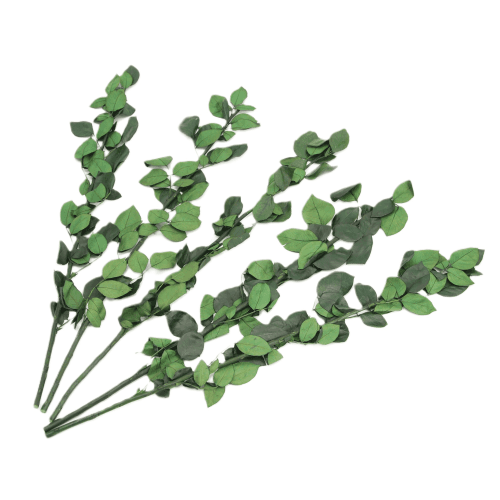 Tallo Rosa Verde
