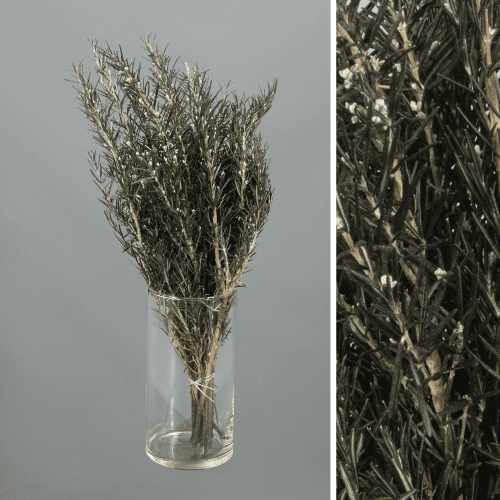 Alecrim preservado verde, Flor preservada de 60 cm de comprimento