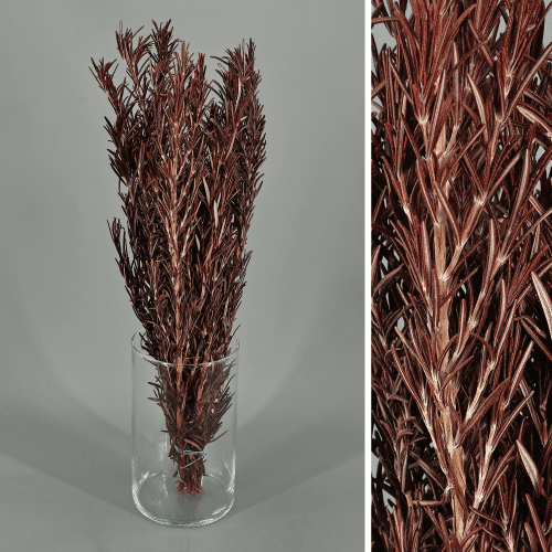 Alecrim preservado granada, Flor preservada de 60 cm de comprimento