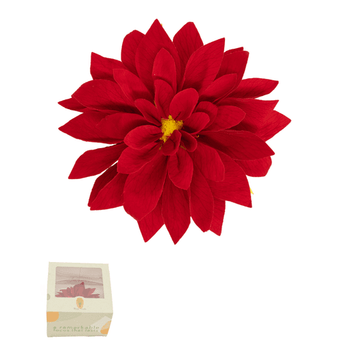 Dalia preservada roja