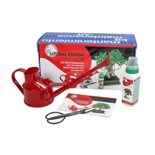 Kit Mantenimiento Bonsai y Tillandisa