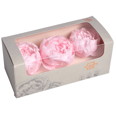 Peonía preservada rosa