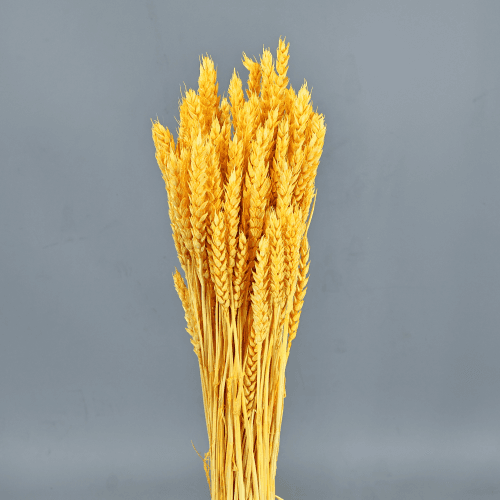 Trigo Amarillo 200 gr, Amarillo, 80cm