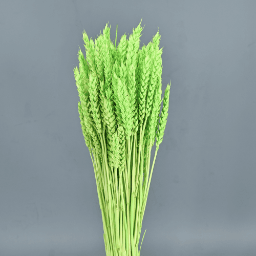 Trigo Verde Pistacho 200 gr, Verde Pistacho, 80cm