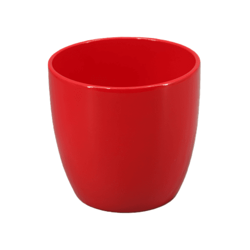 A Maceta Poinsetia Roja Especial maceta 15 cm, Rojo