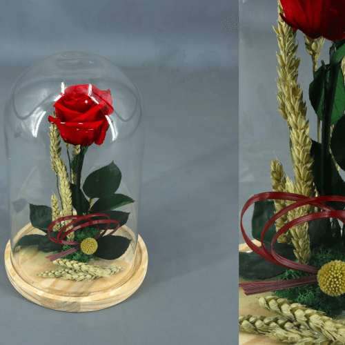 Cúpula decorativa Sant Jordi Rojo/Verde, 26 cm