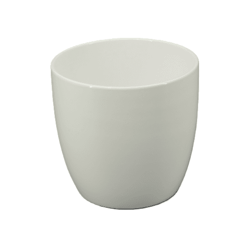 A Maceta Poinsetia Blanca Especia maceta 15 cm, Blanco