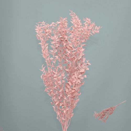 Ruscus Stabilisé Rose Pâle, Fleur stabilisée de 70 cm de long
