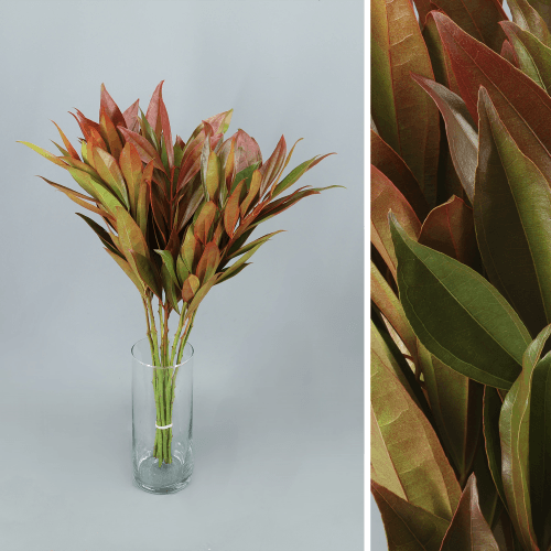 Folhagem Cocculus Dusty Erica, Folhagem de 60 cm de comprimento, em molho