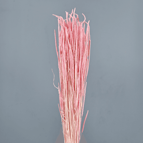 Phleum seco fúcsia
