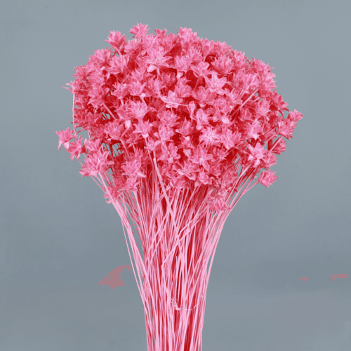 Hill Flower seca fucsia