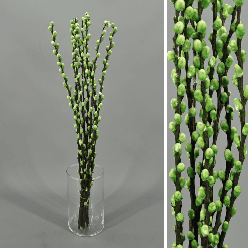 Salgueiro Snow Flake preservado, Flor preservada de 50 cm de comprimento