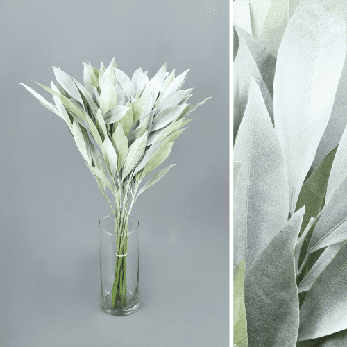 Ramos de Cocculus Branco, Folhagem de 60 cm de comprimento, em molho