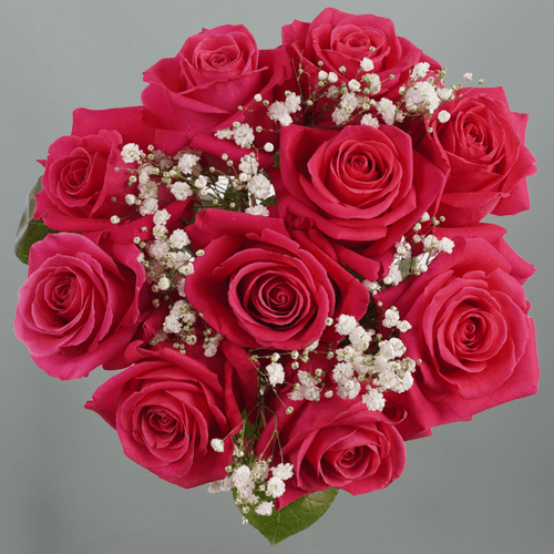 · Bouquet Rosa Fucsia, Fucsia