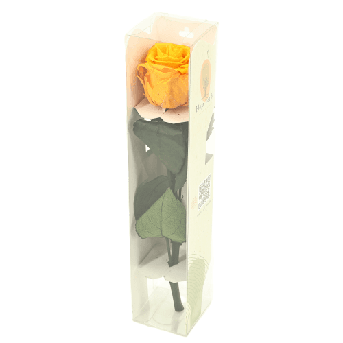Rosa Amarillo Tallo