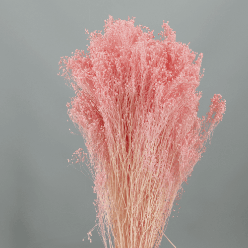 Brooms Granel