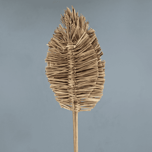 Folha Seca Decorativa Boho, Flor seca de 70-110 cm de comprimento, conjunto de 5 hastes