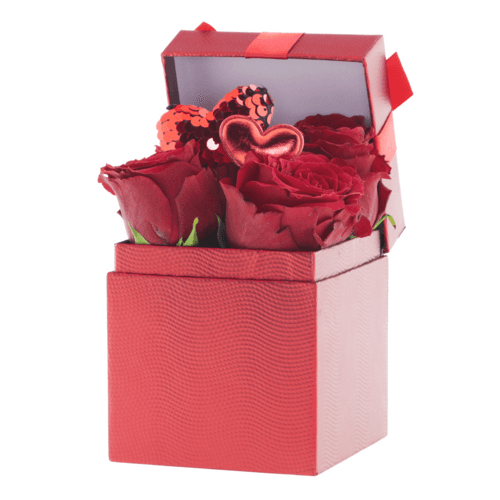 Caja Gina Rojo