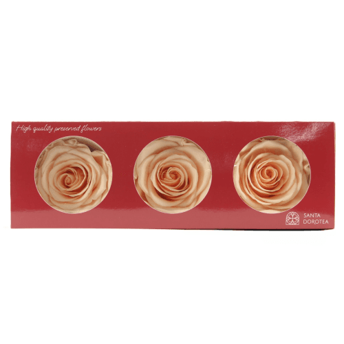 Rosa Almond Cream Cabeza
