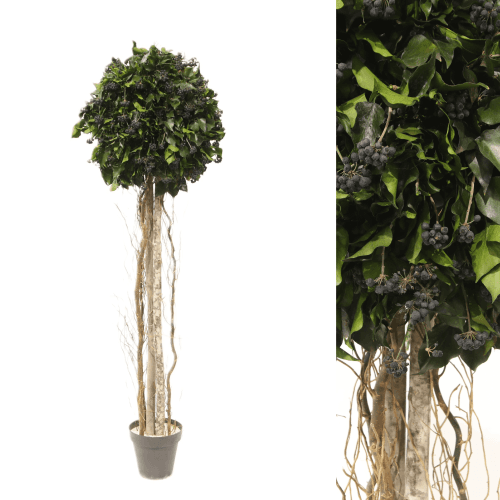 Bola arbórea preservada, Flor preservada de 150 cm de comprimento