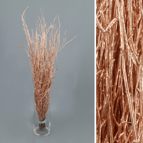 Bétula pintada cobre, Folhagem de 60 cm de comprimento, em molho