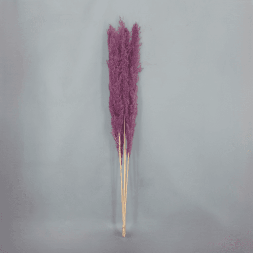 Plumero preservado Morado 125 cm