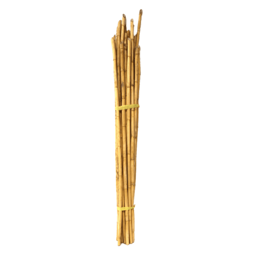 Estrutura de Cana para Coroas (175 cm) Verde Claro, 175 cm (20 uds)