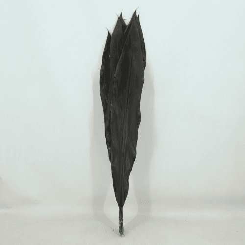 Cordelyne Black Tie, Negro, 1 tallos, 80cm