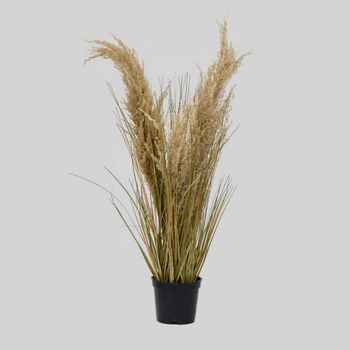 Planta artificial de pampa natural (55, 92 o 120 cm)