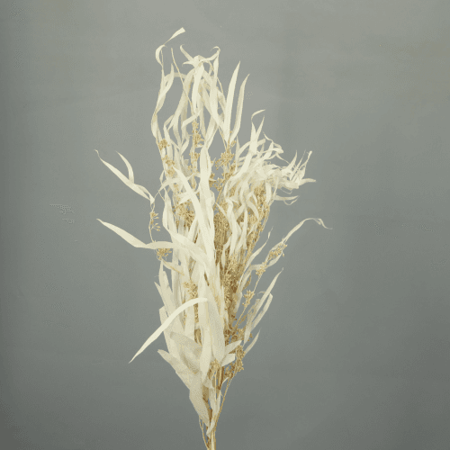 Eucalipto Exotica preservado blanco, Flor preservada de 70 cm de largo