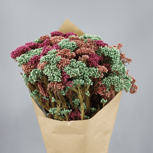 Mazo de Flor de Arroz Preservada Rosa Claro, Flor preservada de 60 cm de largo