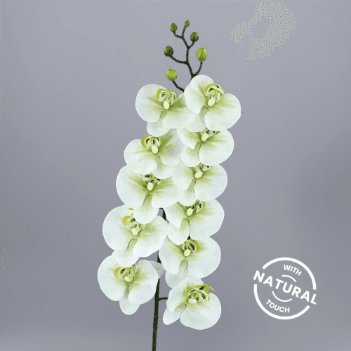 Orquídea Phalaenopsis Artificial de 11 Varas
