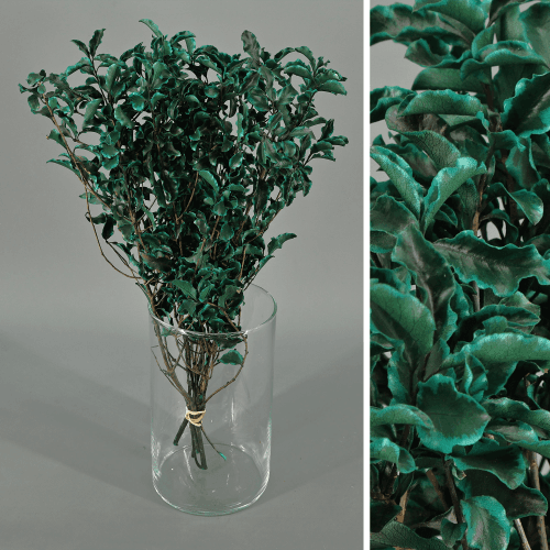 Pitósporo preservado azul, Flor preservada de 20-50 cm de comprimento, conjunto de 2 unidades
