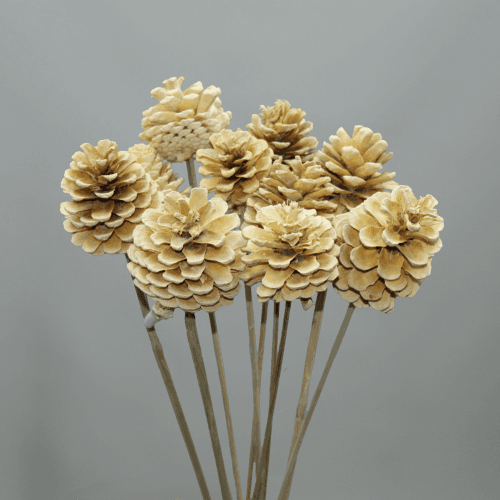 Pomme de Pin Décorative Blanchie (Pick)
