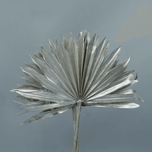 Pack de 2 monllos Sol de palma prateado 50 cm