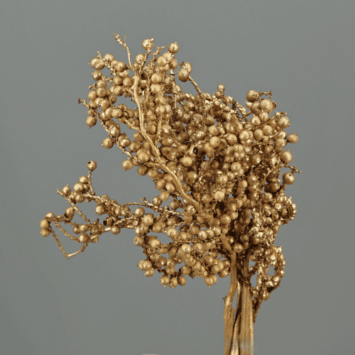 Canela Branch